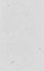 EMAGE:16738