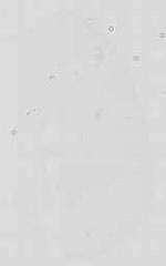 EMAGE:16738