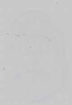 EMAGE:16740
