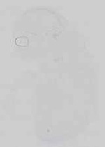 EMAGE:16743