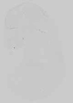 EMAGE:16743