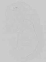 EMAGE:16743
