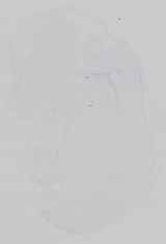 EMAGE:16743