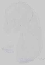 EMAGE:16743