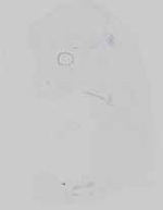 EMAGE:16743