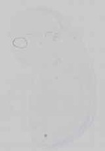 EMAGE:16745