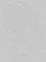 EMAGE:16745