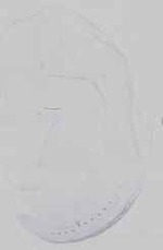 EMAGE:16747