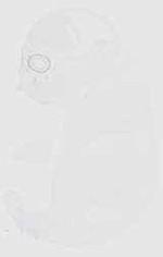 EMAGE:17642