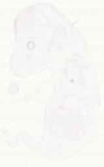 EMAGE:17939