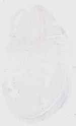 EMAGE:17970