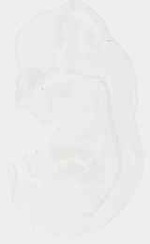 EMAGE:18108