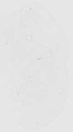 EMAGE:18514