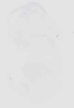 EMAGE:18516