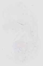 EMAGE:18516