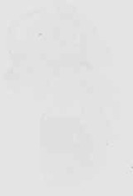EMAGE:18516