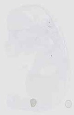 EMAGE:18516