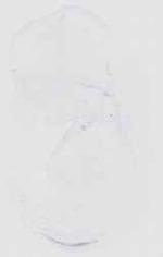EMAGE:18518