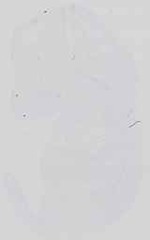 EMAGE:18551