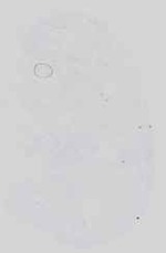 EMAGE:18578
