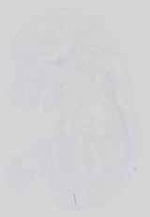 EMAGE:18578