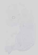 EMAGE:18578
