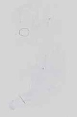 EMAGE:18578