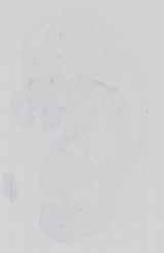 EMAGE:18639