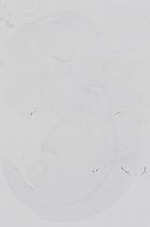 EMAGE:18669