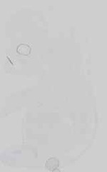 EMAGE:18708