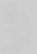 EMAGE:18708