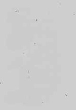 EMAGE:18708