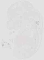 EMAGE:18755