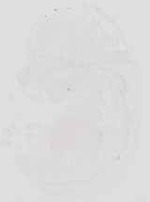 EMAGE:19040
