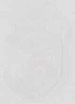 EMAGE:19040