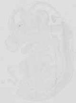 EMAGE:19061