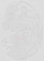 EMAGE:19061