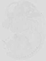 EMAGE:19061