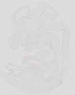 EMAGE:19073