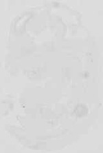 EMAGE:19073