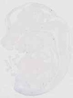 EMAGE:19125