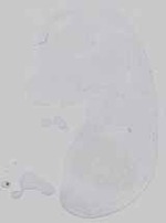 EMAGE:19463