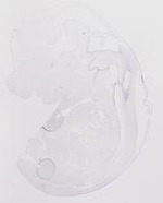 EMAGE:19920