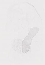 EMAGE:19950