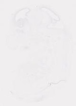 EMAGE:20001