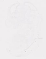 EMAGE:20001