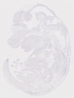 EMAGE:20007
