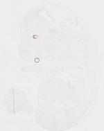 EMAGE:20009