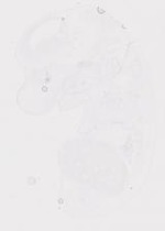 EMAGE:20010