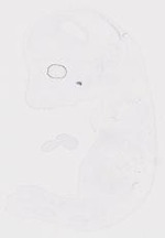 EMAGE:20010